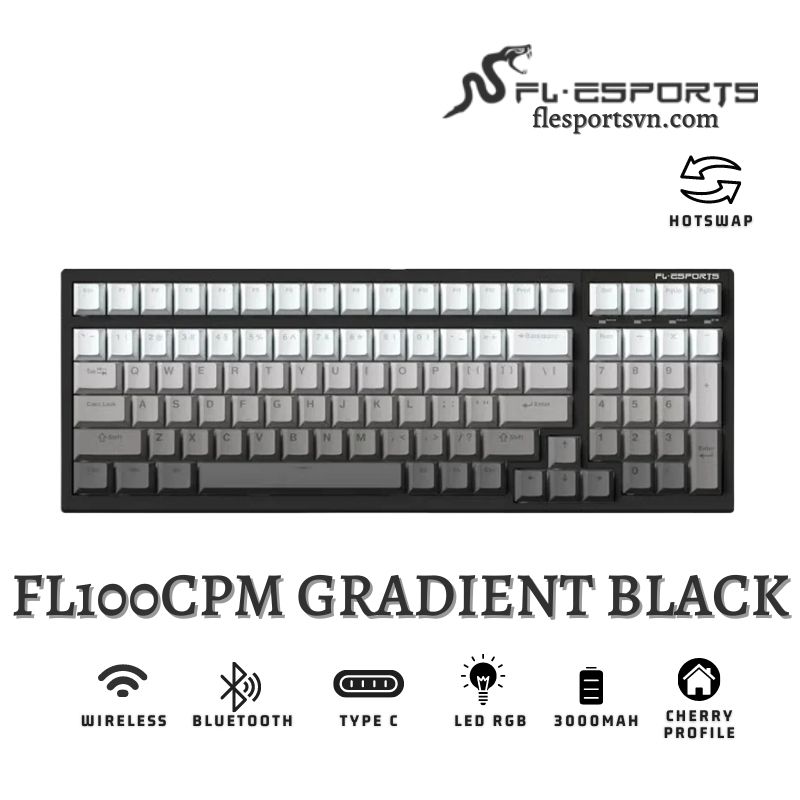 Bàn phím cơ FL-Esports FL100 CPM Gradient Black 1
