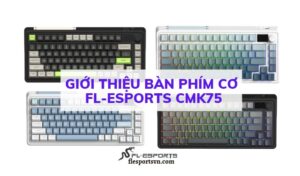 Giới thiệu bàn phím cơ FL-Esports CMK75